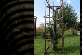 Casa Rifugio - Vimercate (MB)