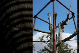 Casa Rifugio - Vimercate (MB)