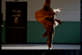 la Ballerina - Botta di Sedrina (BG)