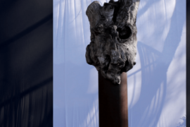 dove portano i Sogni - Vimercate (MB)