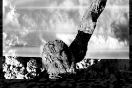 Linea Confine - Vimercate (MB)