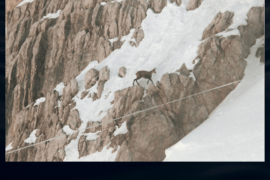 Linea - Dolomiti di Brenta (TN)