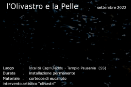 L'Olivastro e la Pelle - Tempio Pausania (SS)