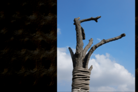 Equilibrista - Vimercate (MB)