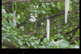 i Sassi e l'Albero - Vimercate (MB)