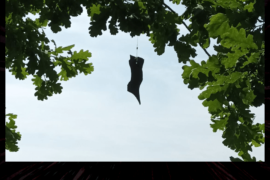 i Sassi e l'Albero - Vimercate (MB)