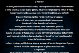 Tommy - Lissone (MB)